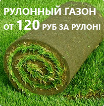 Рулонный газон от 120 руб за рулон