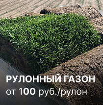 Рулонный газон от 100 руб за рулон